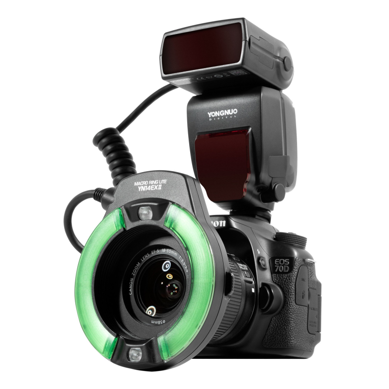 Lampa pierścieniowa Yongnuo YN14EX II zamocowana na aparacie kolor zielony
