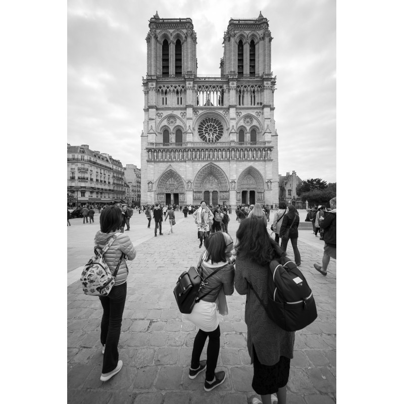 Obiektyw Voigtlander Super Wide Heliar III 15 mm f/4,5 do Sony E - Zdjęcie 17