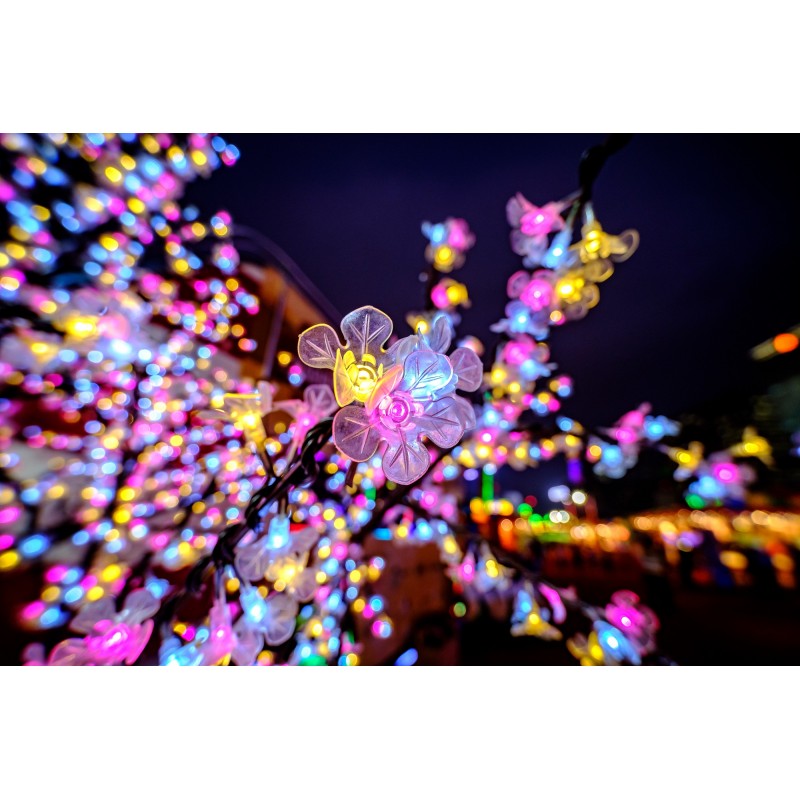 Obiektyw Venus Optics Laowa C&D-Dreamer 9 mm f/2,8 Zero-D do Sony E - Zdjęcie 6