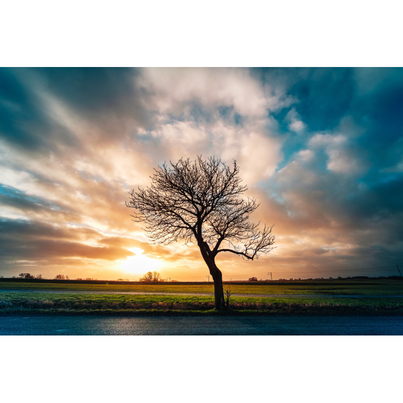 Obiektyw Venus Optics Laowa C&D-Dreamer 9 mm f/2,8 Zero-D do Canon M - Zdjęcie 2