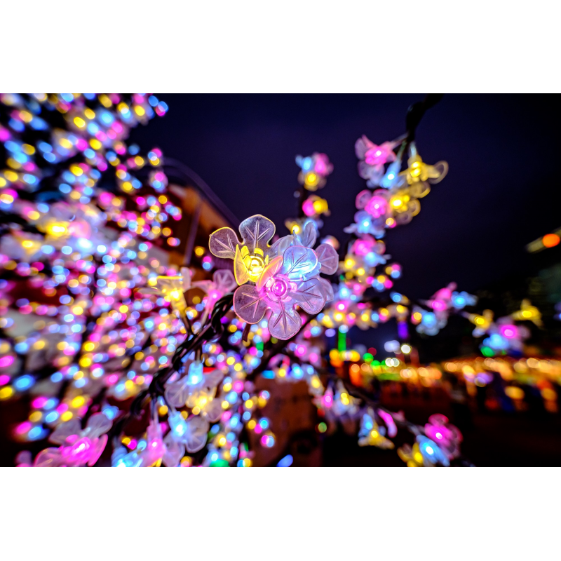 Obiektyw Venus Optics Laowa C&D-Dreamer 9 mm f/2,8 Zero-D do Canon M - Zdjęcie 6