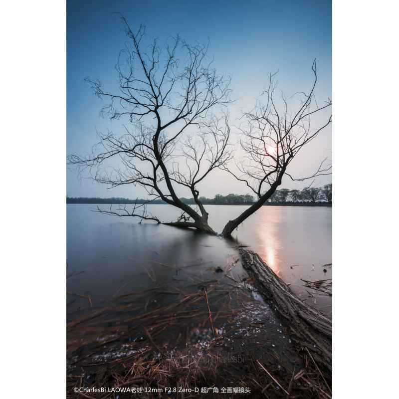 Obiektyw Venus Optics Laowa D-Dreamer 12 mm f/2,8 Zero-D do Pentax K - Zdjęcie 7