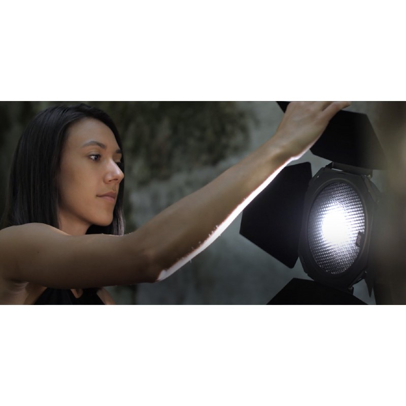 Wrota Aputure Barn Door - Zdjęcie 11