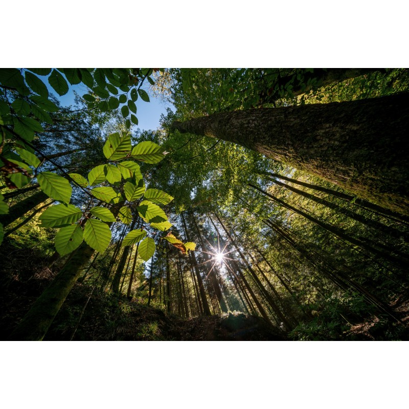 Obiektyw Venus Optics Laowa C-Dreamer 10-18 mm f/4,5-5,6 do Sony E - Zdjęcie 4