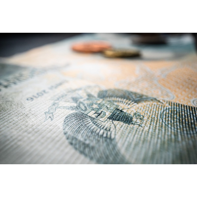 Obiektyw Venus Optics Laowa Probe 24 mm f/14 Macro 2:1 do Nikon F - Zdjęcie 4