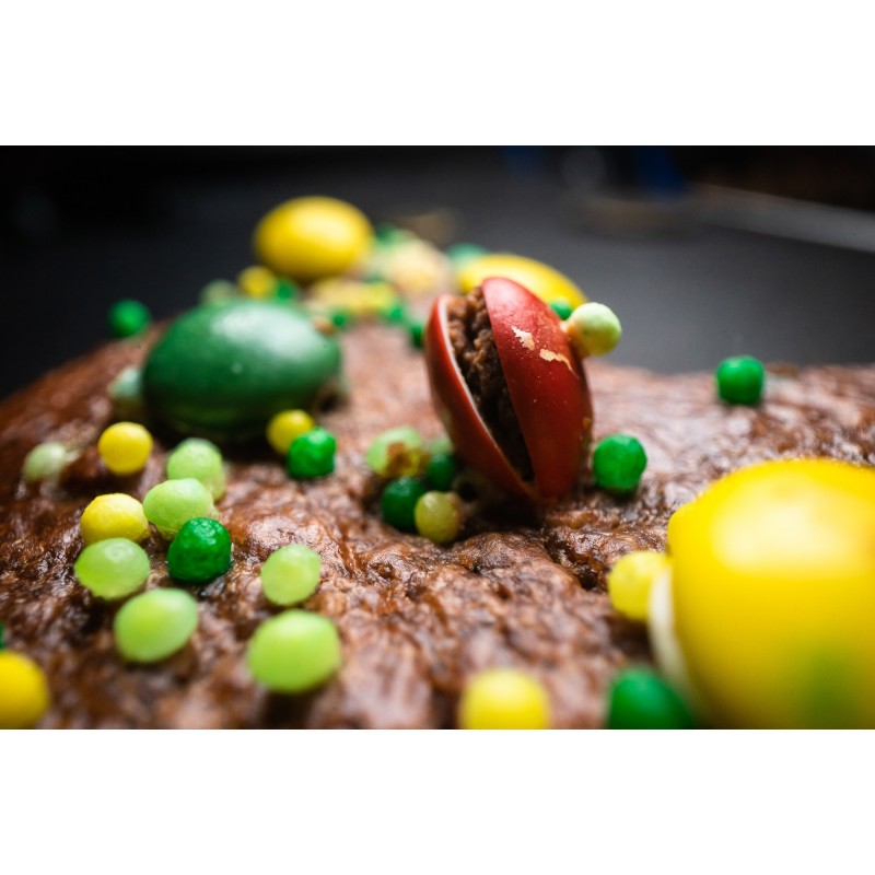 Obiektyw Venus Optics Laowa Probe 24 mm f/14 Macro 2:1 do Nikon F - Zdjęcie 10