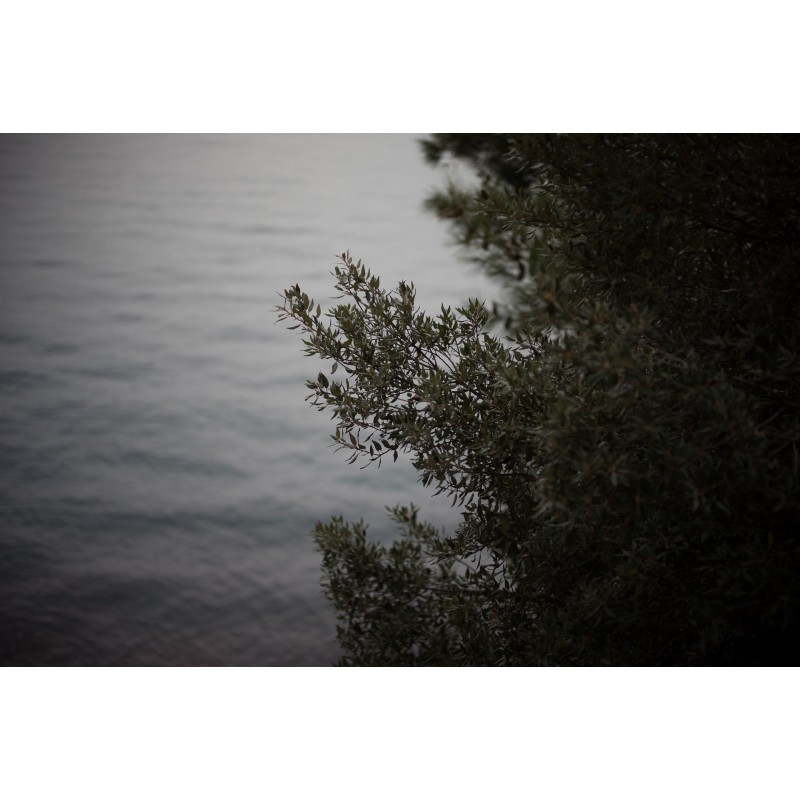 Obiektyw Voigtlander Nokton 50 mm f/1,2 do Leica M - Zdjęcie 4