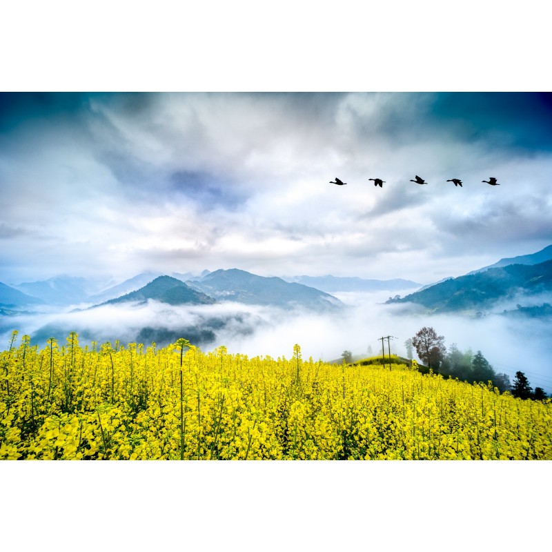 Obiektyw Venus Optics Laowa 15 mm f/4 Macro do Nikon F - Zdjęcie 5