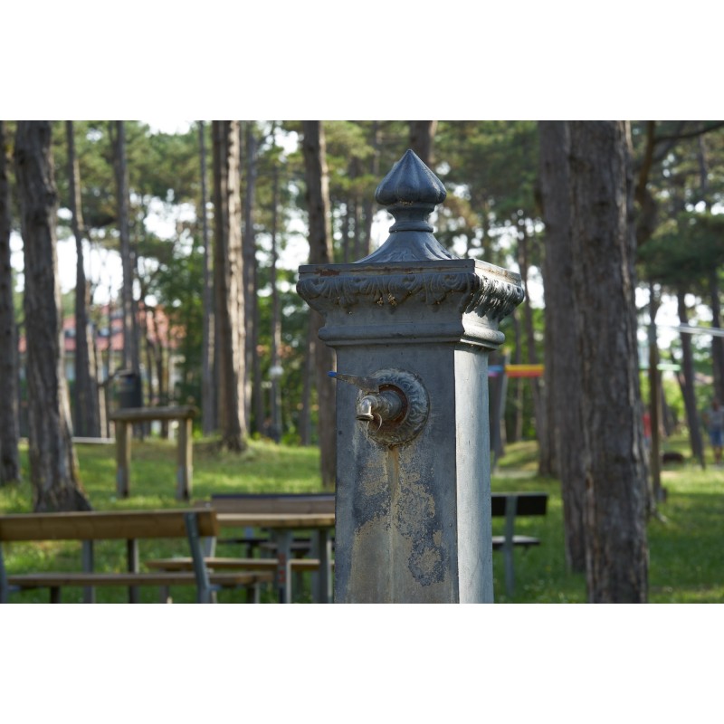 Obiektyw Voigtlander Macro APO Lanthar 110 mm f/2,5 do Sony E - Zdjęcie 9