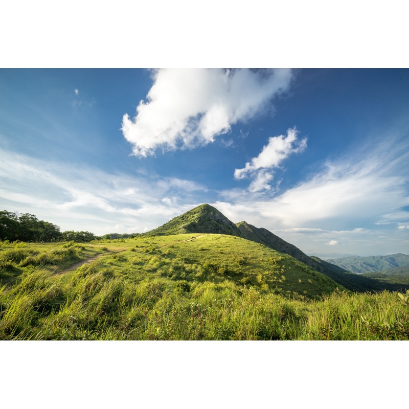 Obiektyw Venus Optics Laowa D-Dreamer 15 mm f/2,0 Zero-D do Nikon Z - Zdjęcie 10