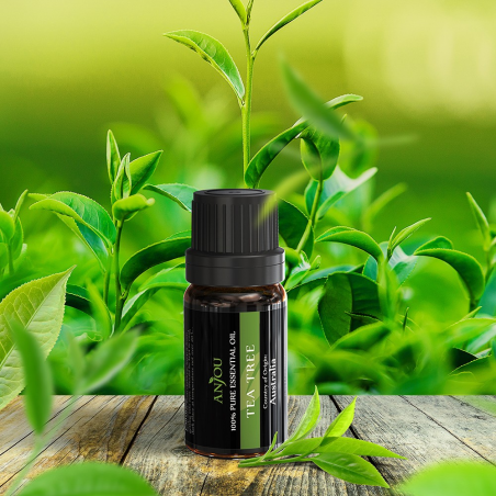 Zestaw 6 olejków do aromaterapii Anjou AJ-ES001 - Zdjęcie 9 Zestaw 6 olejków do aromaterapii Anjou AJ-ES001 - Zdjęcie 9
