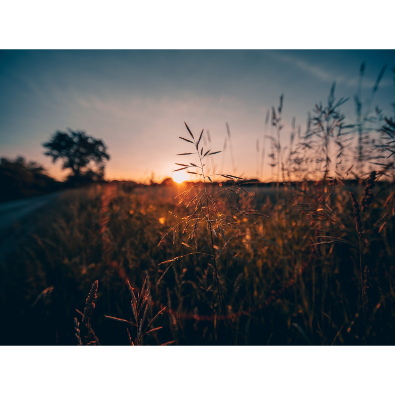 Obiektyw Venus Optics Laowa D-Dreamer 17 mm f/4,0 Zero-D do Fujifilm G - Zdjęcie 1