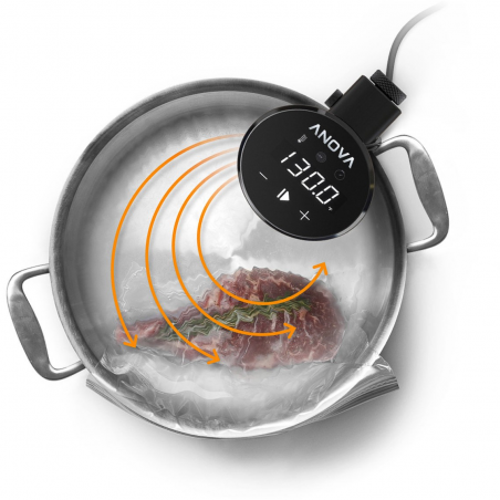 Cyrkulator do gotowania sous vide Anova Precision (V2019) - Zdjęcie 7 Cyrkulator do gotowania sous vide Anova Precision (V2019) - Zdjęcie 7
