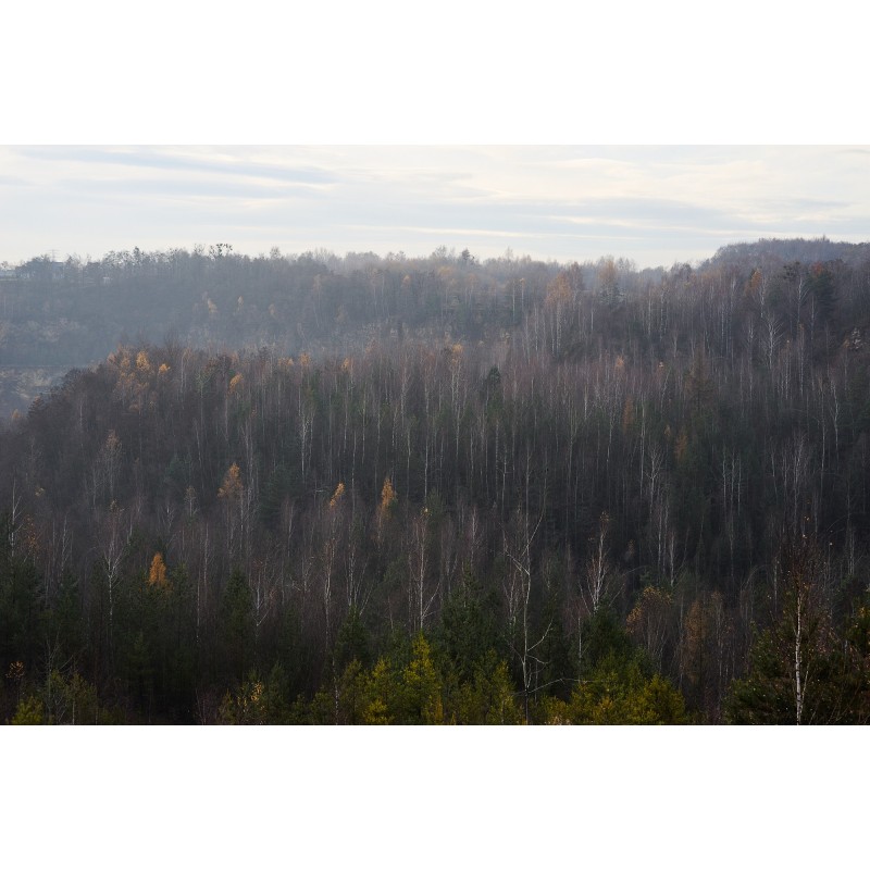 Obiektyw Voigtlander Nokton 75 mm f/1,5 do Leica M - czarny - Zdjęcie 1