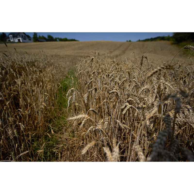 Obiektyw Voigtlander Nokton 21 mm f/1,4 do Leica M - Zdjęcie 1