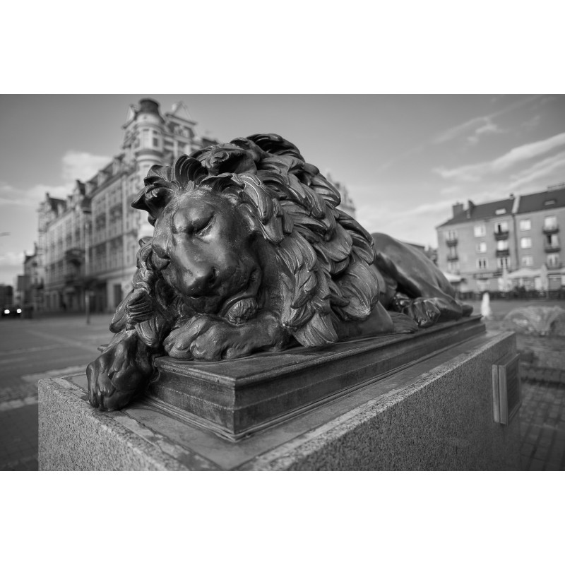 Obiektyw Voigtlander Nokton 21 mm f/1,4 do Leica M - Zdjęcie 3