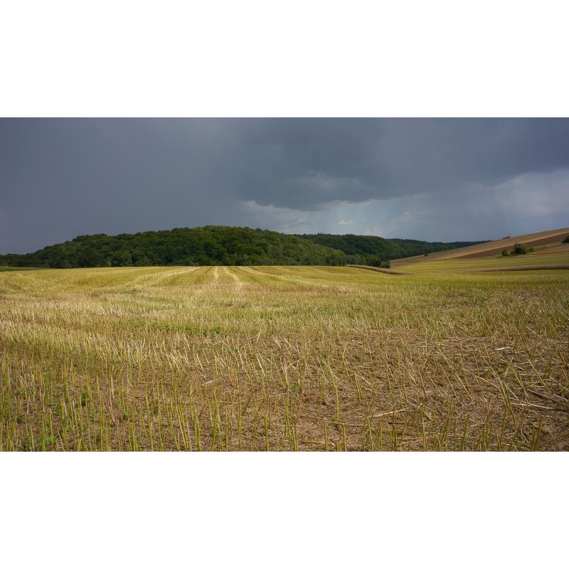 Obiektyw Voigtlander Nokton 21 mm f/1,4 do Leica M - Zdjęcie 11