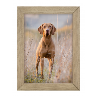 Ramka Woodflow FrameFlip A4...