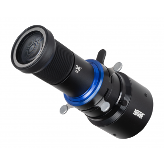 Strumienica Newell...